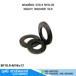 แหวนอีแปะ G10.9 M16-36