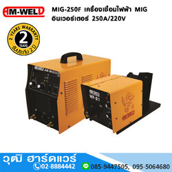 AM-WELD MIG-250F เครื่องเชื่อมไฟฟ้า MIG อินเวอร์เตอร์ 250A/220V