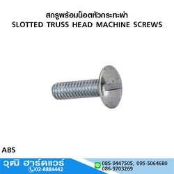 สกรูพร้อมน็อตหัวกระทะผ่า