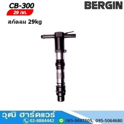 BERGIN CB 300 สกัดลม 30kg