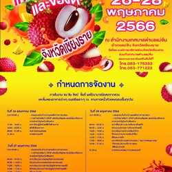 งานเทศกาลลิ้นจี่ของดีจังหวัดเชียงราย26-28พค.2566ที่ตำบลแม่จัน อ.แม่จัน จ.เชียงราย