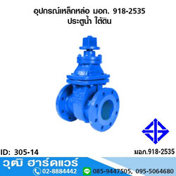 อุปกรณ์เหล็กหล่อ มอก. ประตูน้ำ ใต้ดิน