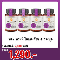 Vita พรมมิ ใบแปะก๊วย 4 กระปุก