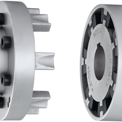 FLENDER Coupling (N-EUPEX )