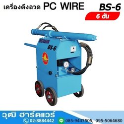 BERGIN BS 6 เครื่องดึงลวด 6Ton PC WIRE 380V