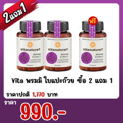 Vita พรมมิ ใบแปะก๊วย ซื้อ 2 แถม 1