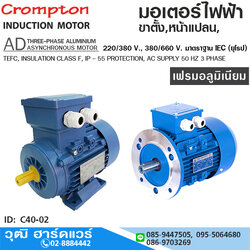 Crompton AD มอเตอร์ไฟฟ้า ขาตั้ง / หน้าแปลน 380V 0.5-30HP เฟรมอลูมิเนียม