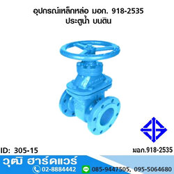 อุปกรณ์เหล็กหล่อ มอก. ประตูน้ำ บนดิน