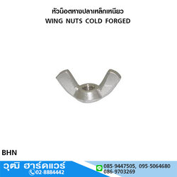 หัวน็อตหางปลาเหล็กเหนียว