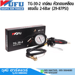 WUFU TG-30-2 เกจ์ลม หัวทองเหลือง 2-6Bar (29-87PSI)