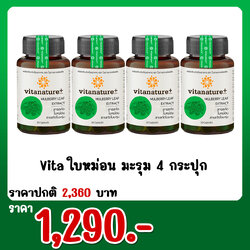 Vita ใบหม่อน มะรุม 4 กระปุก