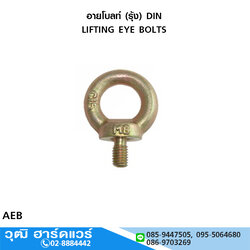 อายโบลท์ (รุ้ง) DIN LIFTING EYE BOLTS