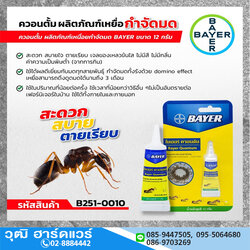 BAYER ควอนตั้ม เหยื่อกำจัดมด 12g