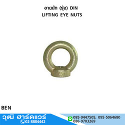อายนัท (รุ้ง) DIN LIFTING EYE NUTS