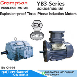 Crompton YB3-Series มอเตอร์กันระเบิด 0.5HP-100HP/380V ขาตั้ง,หน้าแปลน Explosion-proof Thre Phase Insulation Motors