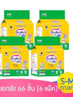ฟีลฟรี กางเกงซึมซับผู้ใหญ่ ขนาดกลาง ไซส์ M แพ็ค 11 ชิ้น ขายยกลัง (Feelfree Adult Pants size M 11 pieces wholesaler pack ; 66 pieces)