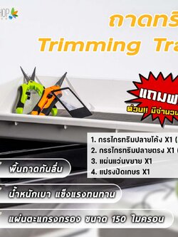 Grow Shop Trimming Tray ชุดถาดทริม 50x33x5.5