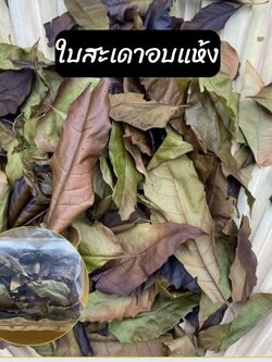 ใบสะเดาอบแห้ง Siamese neem leaves
