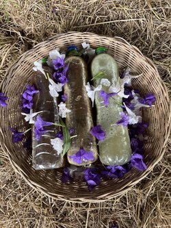 น้ำสกัดสะเดา Neem