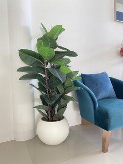 กระถางต้นไม้ตั้งพื้น Plastic