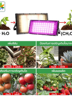 ใหม่อัพเกรด 220V LED Grow Light 300W Full Spectrum Greenhouse Hydroponics พืชปลูกโคมไฟสำหรับต้นกล้า