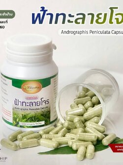 คุณทิพย์ ฟ้าทะลายโจรแบบแคปซูล 100 เม็ด 250 มก. (เทียบเท่าแอนโดรกราโฟไลด์ ≥ 6 มก.) กินแค่มื้อละ 5 แคปซูล