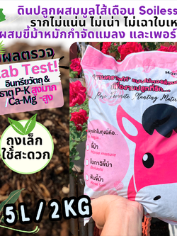 แชทถามค่าส่งนะคะ ดินกุหลาบ ใช้ปุ๋ยขี้ม้า*5ลิตร/2กก* เพราะกุหลาบชอบขี้ม้า ถุงพลาสติกซีลเพื่อรักษาองค์ประกอบของปุ๋ย ดินอินทรีย์
