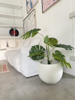 กระถางต้นไม้ตั้งพื้น Plastic