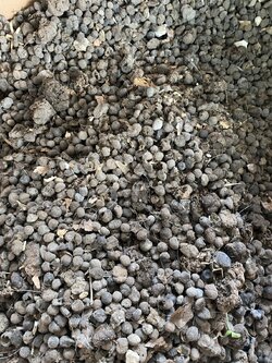 ขี้แพะแห้ง ปุ๋ยอินทรีย์แท้ 100% (Goat Dung)