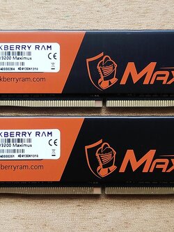 RAM BLACKBERRY DDR4 32 GB (16 GB x 2) BUS 3200 Mhz MAXIMUS