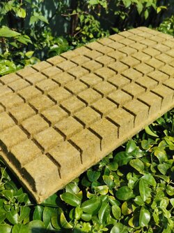 Rockwool แบบแบ่งช่อง จำนวน 98 ช่อง ขนาด 24x50x4ซม.