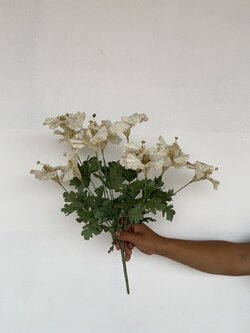 ช่อดอกชบา สีขาว Shoe flower