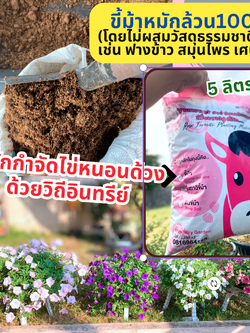 ปุ๋ยขี้ม้าหมัก แห้ง กำจัดแมลงแล้ว สับละเอียด พร้อมใช้กับไม้ทุกชนิด อุดมธาตุหลัก+รอง+จุลธาตุ อินทรีย์100%