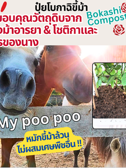 โบกาฉิขี้ม้า แบบผง 5ลิตร/1กก สูตรรวมดาว อาหารเสริมพืชคุณค่าสูงสำหรับไม้ดอกและพืชทุกชนิด Rose Enrichment