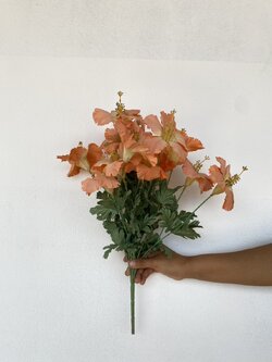 ช่อดอกชบา สีส้ม Hibiscus