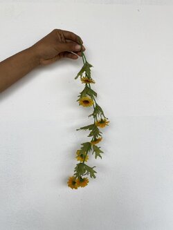 เถาดอกทานตะวันดอกเล็ก Sun Flower