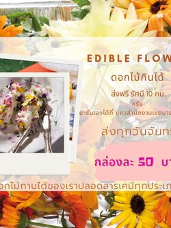 ดอกไม้กินได้ Edible flower