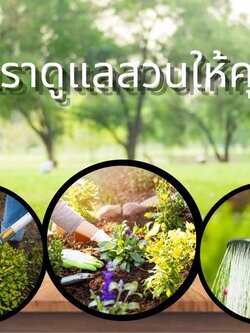 บริการรับดูแลสวน