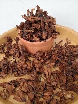 ดอกลีลาวดีแห้ง สมุนไพร ดอกลีลาวดี ตากด้วยธรรมชาติ