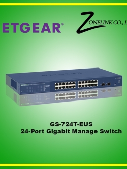 GS724T-EUS