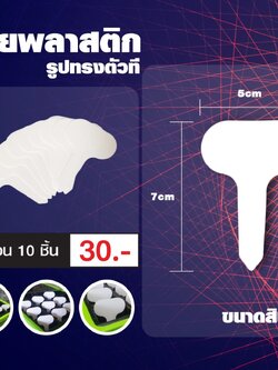  ป้ายเขียนชื่อต้นไม้ แทคติดต้นไม้ ป้ายห้อยต้นไม้ รูปทรงตัวที ชุดละ 10 ชิ้น 