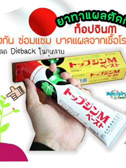 ยาทาแผลตัดกิ่ง ยาทาแผลต้นไม้ TopJin M ป้องกันการติดเชื้อแบคทีเรียและเชื้อรา ช่วยสมานแผลต้นไม้ แท้จากญี่ปุ่น