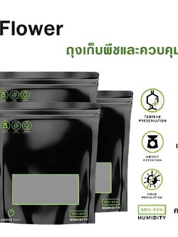Dry Flower ถุงเก็บพืชและควบคุมความชื้น