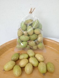 มะกอกป่า สด สะอาด กลิ่นหอม