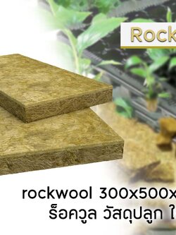  Rockwool 300x500x40mm ร็อควูล วัสดุปลูก ใยหิน 
