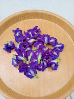 ดอกอัญชัน (สีฟ้า) เก็บสด