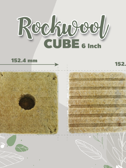  Rockwool cube 6 inch (ร็อควูล 6 นิ้ว) วัสดุปลูก ใยหิน 