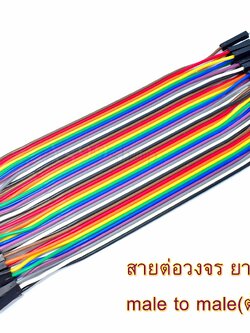 สายต่อวงจร Jumper male to male(ตัวผู้-ตัวผู้) ยาว 15 CM จำนวน 40 เส้น