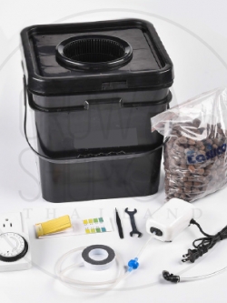 ชุดกระถางไฮโดรโปนิกส์แบบถังสี่เหลี่ยม ระบบ Deep Water Culture (DWC) พร้อมอุปกรณ์ครบชุด ขนาด 10 ลิตร 10ลิตร