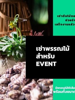 บริการเช่าต้นไม้สำหรับงาน EVENT